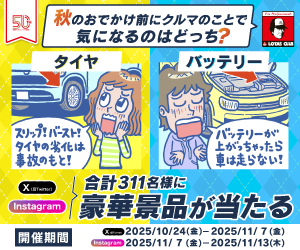 秋のおでかけ前にクルマのことで気になるのはどっち？